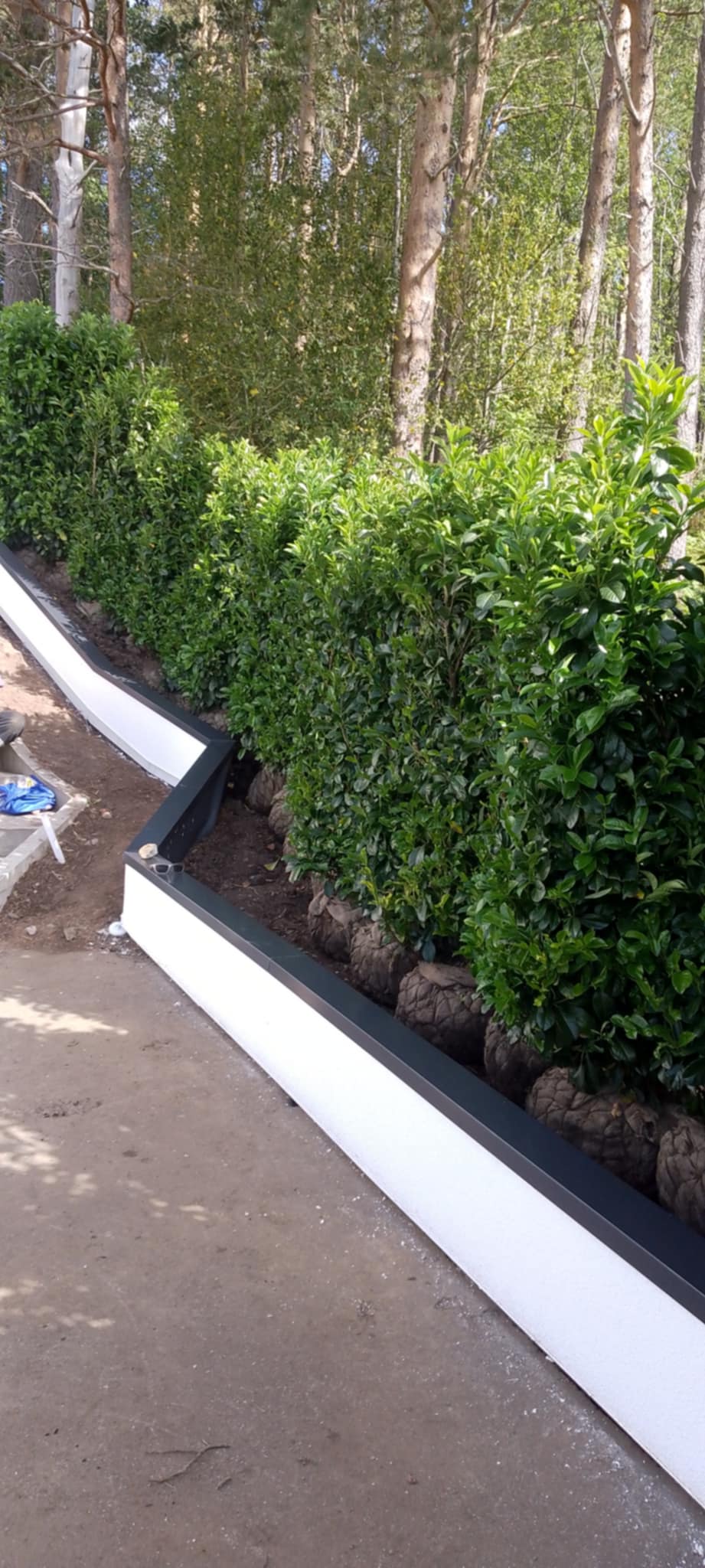 Messenger_creation_474B420A-06CA-4BAD-82C0-663827FB98D2