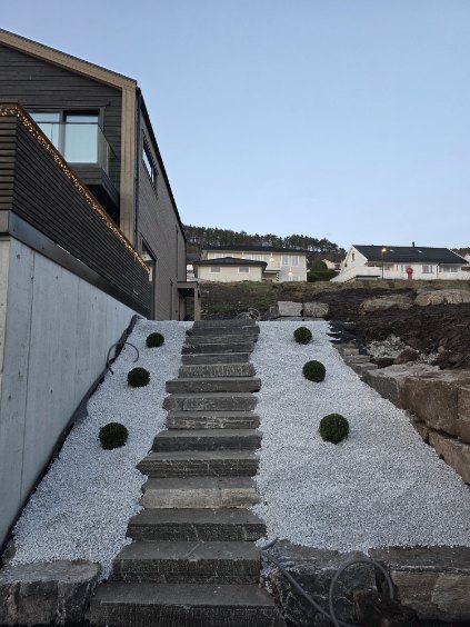 Ny privathage Ålesund